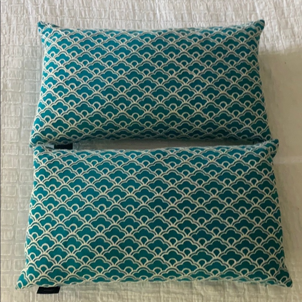 Two beautiful  teal summer pillows!